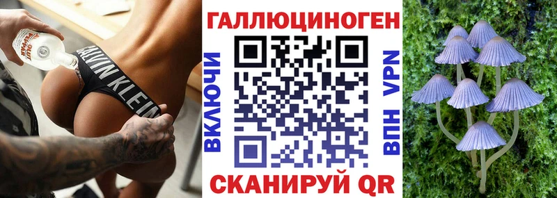 Купить  Бугуруслан  Псилоцибиновые грибы GOLDEN TEACHER 