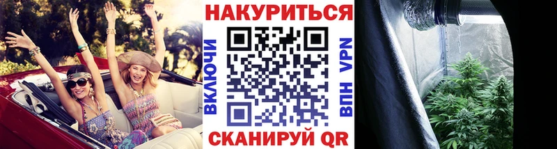 Бошки Шишки Amnesia Бугуруслан